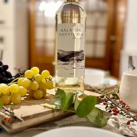 5 Haloszobas Wellness Vip House - Privat Medence