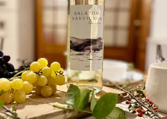 5 Haloszobas Wellness Vip House - Privat Medence